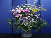 菊2