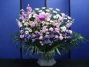 菊･洋花1