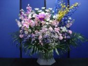 菊･洋花2