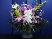 菊･洋花3
